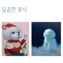 달콤한 휴식 이미지