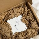 PC까페넥스(1호점) |  맥북 에어 M5 13인치 실버 구매후기 | 애플신학기프로모션, 교육할인