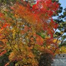 석모도 좋은아침 이미지