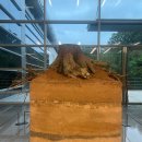 대구광역칭소년문화의집 | 대구미술관전시추천 이강소 &lt;곡수지유: 실험은 계속된다&gt; 후기