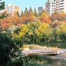 소수공인중개사사무소 이미지