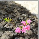 한태연 제주8호발전소 | [제주도여행/제주올레길] 제주올레길 18코스 10편(닭머르-신촌포구-대섬 입구까지)