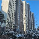 내일공인중개사사무소 이미지