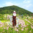 은혜동산 이미지