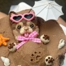 멍벨 | 김포 강아지 케이크 주문제작 맛집! 멍벨 풍무점 후기 (우리 강아지 생일 대성공)