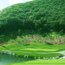 써미트 골프 이미지