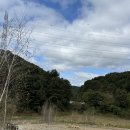 으뜸목장 | 가평 수목원 가볼만한곳 서울근교 나들이 양떼목장