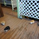 단디해펜션 이미지