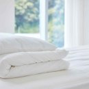 밝은세탁 이미지