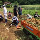 새일농장 이미지