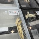 영종환경 | [파충류샵] 인천 영종도 ‘크레리즘_영종점’ 방문 후기 !