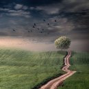 화악농장 이미지