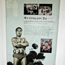 역도산체육관 이미지