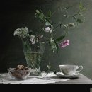 꽃보다 개 이미지