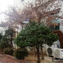21세기장식 - 통영시 동문로 50-1 | 21세기장식