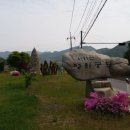 천도리양지마을 이미지