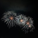 석양 속 생명의 날 이미지