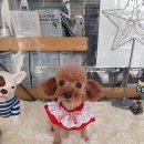 D-Style(디스타일) 이미지