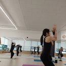 요가라이프 | 율전동요가 새해부터 시작한 통증관리