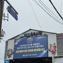 태안읍사무소 | 충남 태안 꾸지나무골 해수욕장 &lt;솔향기길 캠핑장&gt; 내돈내산 후기 및 예약 방법 / 명당 추천