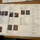 제제 | 서울숲 중식 맛집 제제 후기 | 모던 차이니즈 , 딤섬/동파육 맛집