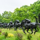 서울숲5 이미지