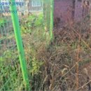 남산리 입석 이미지