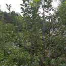 다덕파크 이미지