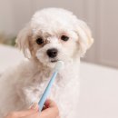 동행동물병원 이미지