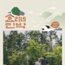 사수민박 이미지