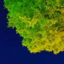 웰리치공인중개사사무소 이미지