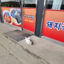 영주네짬뽕 이미지