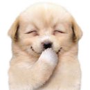 2794 | W17. 용산 로얄파크 컨벤션 파크홀 본식 스냅 후기, 밝은홀 최반석 스냅 추천📸✨