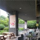 브런치앤숲 이미지