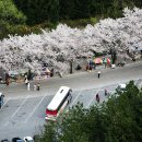 마이산 남부 관광안내소 이미지