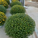 윤창호농장 이미지