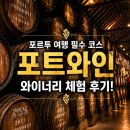 포카스 | 포르투 여행 필수 코스 포트와인 와이너리 체험 후기! 투어 선택시 기준 총정리