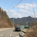 충의공 엄흥도 역사탐방로 | 영화 '왕과 사는 남자' [군위 화본리 충의공 엄흥도 묘소] 방문 후기 / 군위 화본마을 가볼만한 곳 추천