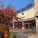 여주 신세계 프리미엄아울렛 구찌 매장 & 구찌 머플러 후기