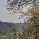 백의리층 탐방안내소 이미지