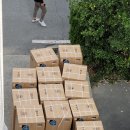 신세계B2B 네이버블로그