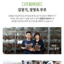 울진 금강송 표고