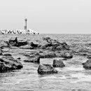 제주 올레길 15코스 B 이미지