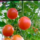 과일방 - 논산시 계백로 791 | 과일방