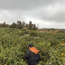 협재차경 별뉘 이미지