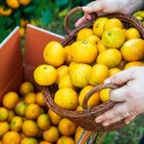 민우농장 이미지