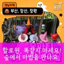 시민공원 숲해설가의 집 | 아이들의 잊지 못할 할로윈, 숲파티포레 숲체험 필수템!