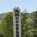 문경숲속정원 | [문경 애견 동반 캠핑장/키즈 캠핑장] '리우 캠핑장' 대만족 후기 I B17 사이트