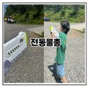 대원애드 | 전동물총 추천 캠핑장에서 지훈이랑 역대급 물총놀이 했어요 자동급수에 배터리 2개+고글 사은품까지...