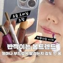"요즘 봄립트렌드 뭐야?" 여름까지 쭈욱가는 오버립 + 글로시 조합